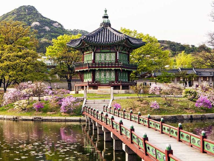 Korea Travel Guide | Tripfez Blog